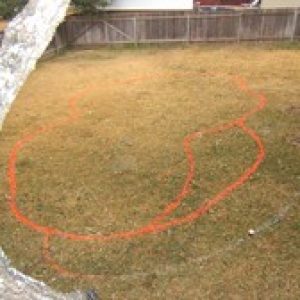 backyard marked out for digging