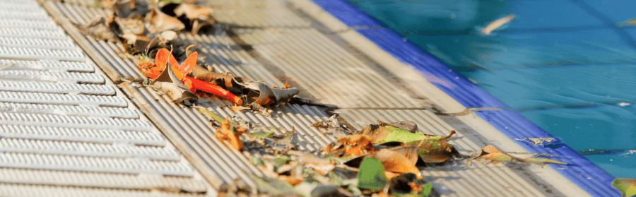 Autumn leaves on pool - how to keep leaves out of pool skimmer