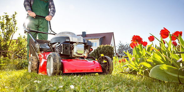 cutting-the-grass