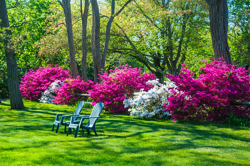 Lawn
