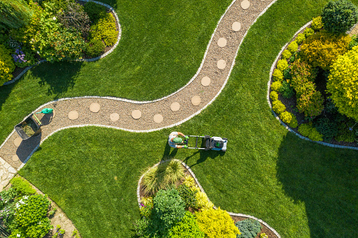 professional-landscaping-services