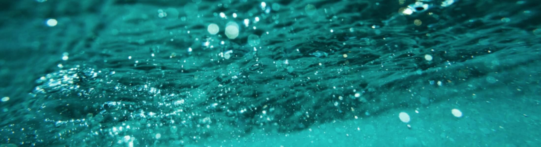 How to Get Rid of Air Bubbles in Your Pool Pool Pump Service